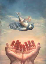 Load image into Gallery viewer, Every Sparrow